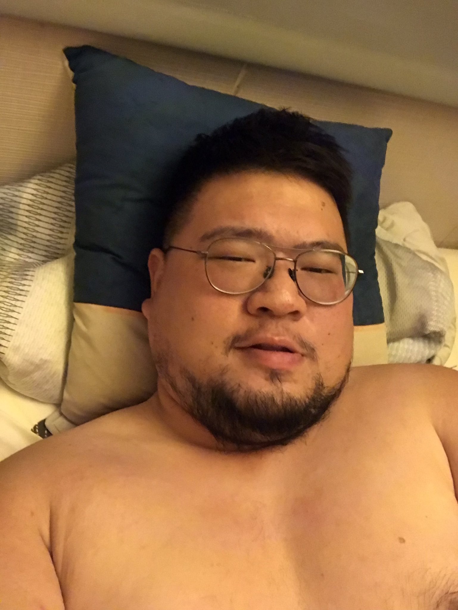 ursus-chu-on-twitter-lazy-pig-https-t-co-0lp7ag5mrv-twitter