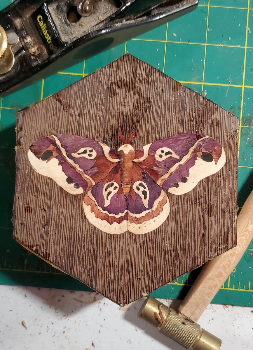 StingandSaw's tweet image. Fresh out of glue up, unsanded unfinished. 

Shop Drop Halloween at 6PM

#dice #dicevault #ttrpg #dungeonsanddragons #marquetry #woodworking #moth #spookyboi