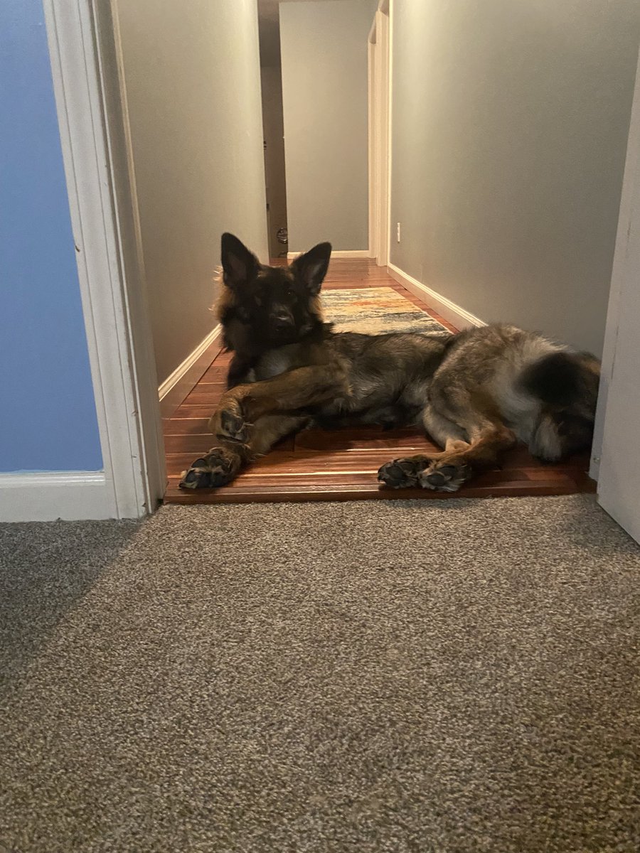 Wonder@Work (@jbfuss4) on Twitter photo 