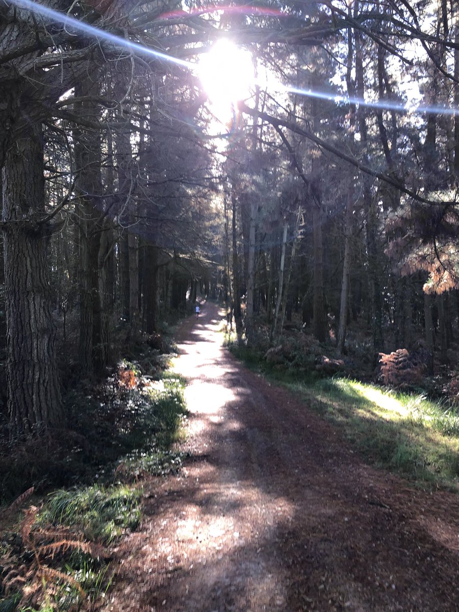lydiiapinto's tweet photo. dia de ⛰️ https://t.co/qJwnpJfFtY