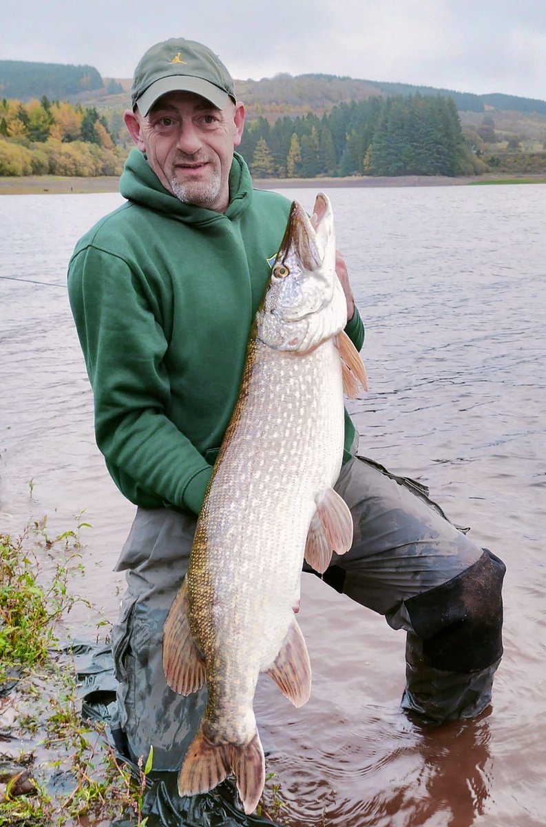 Effort = Reward.🎣
Well today was that Day, best of 2 Fish both over 20lb, this being the Pick of the Litter.🎣
#pike
#esox