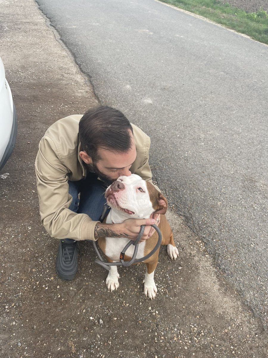 TweetMen20's tweet photo. Après avoir été retirer une première fois d’une famille par la SPA, et abandonner par une seconde famille, 3 mois et 3 semaines de refuge. J’ai le plaisir de t’accueillir chez moi AYA, 3 ans ❤️ moi je te protègerais, te garderais, et t’aimerais comme il se doit. @SPA_Officiel https://t.co/h8jjwVByaZ