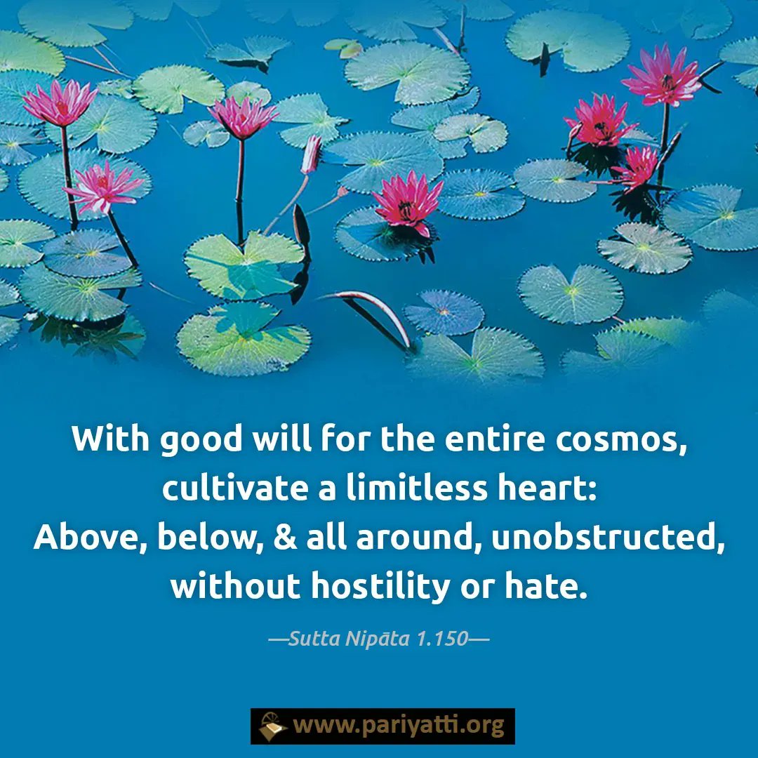 pariyatti's tweet photo. Sutta NipΔta 1.150
'Daily Words of the Buddha' service: via RSS feed, email, or mobile App.
π https://t.co/FghoDpWw5E
#Buddha #Insight #NoblePath #DailyInspiration #DailyWordsoftheBuddha #DWOB #Pariyatti #goodwill #withheart https://t.co/pyoheNrcMm
