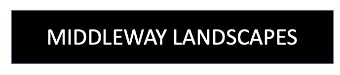 Nailsea&Backwell RFC tweet media