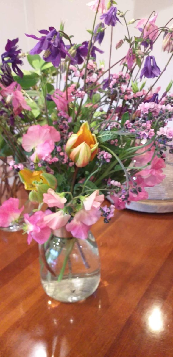 FoxFarmsNZ's tweet photo. First quick bunch of spring blooms picked. Not arranged into anything fancy, just a handful of spring joy placed in vase as picked. https://t.co/Erh3irPTv4