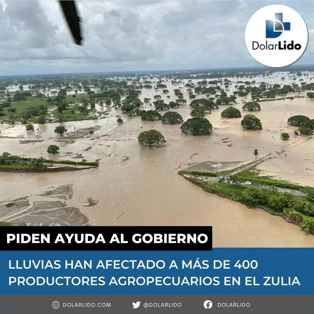 DolarLido's tweet image. #Lluvias han #afectando a más de 400 #productores #agropecuarios en el #Zulia 

instagram.com/p/CkWVfvrPi9Z/…