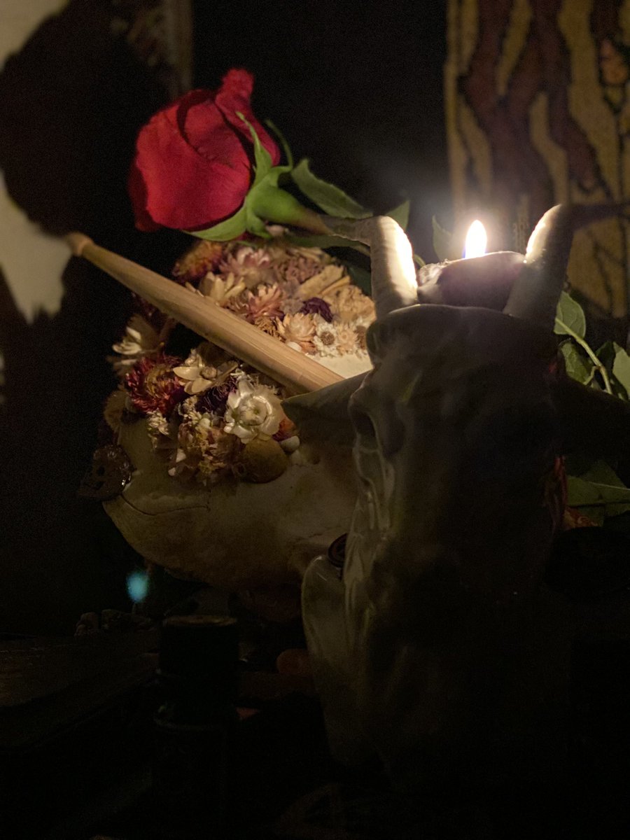 🜏 Drew 🏳️‍⚧️ tweet media