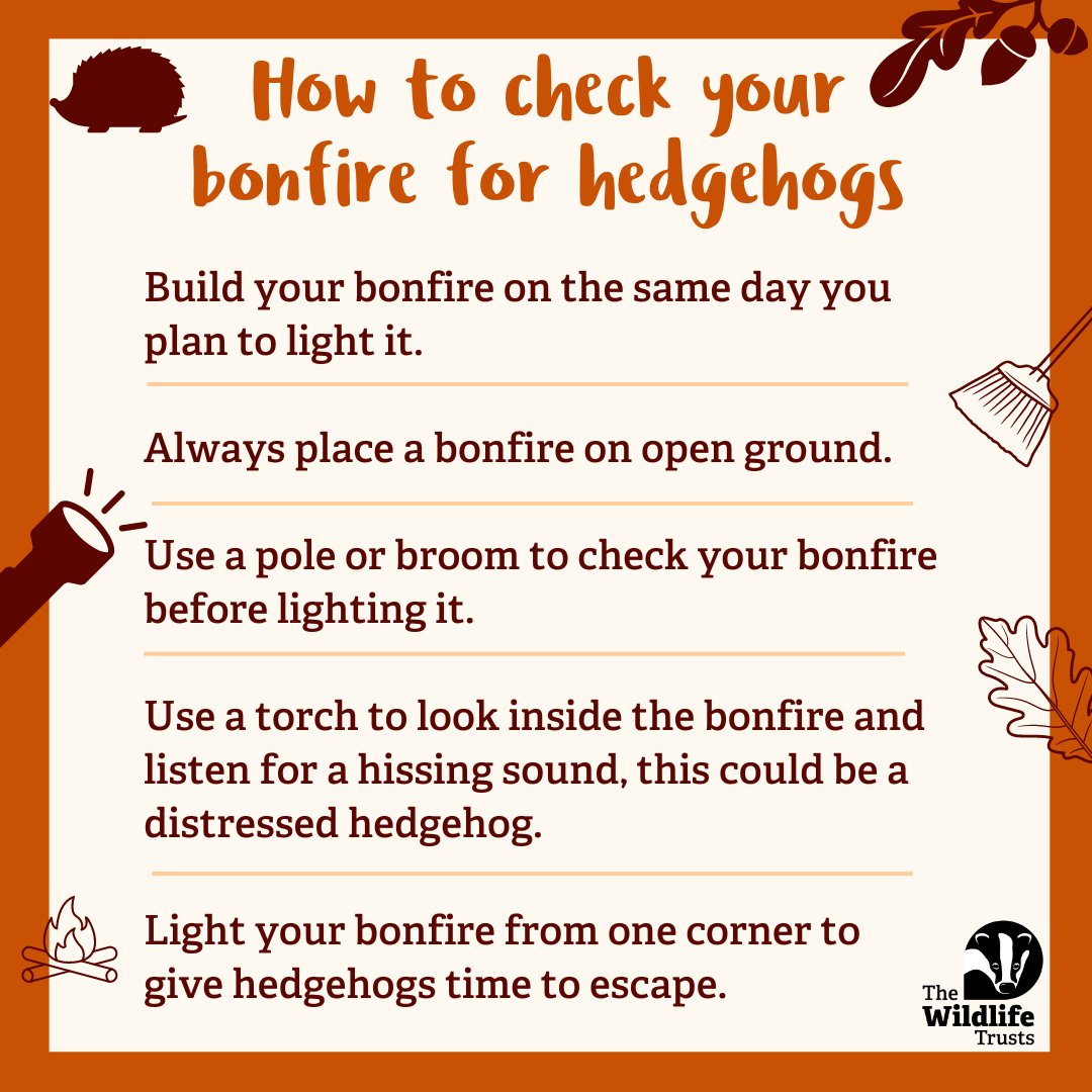 Help keep our prickly friends safe this autumn by checking your bonfire for hedgehogs! 🦔 🔥 wildlifetrusts.org/actions/how-ch…