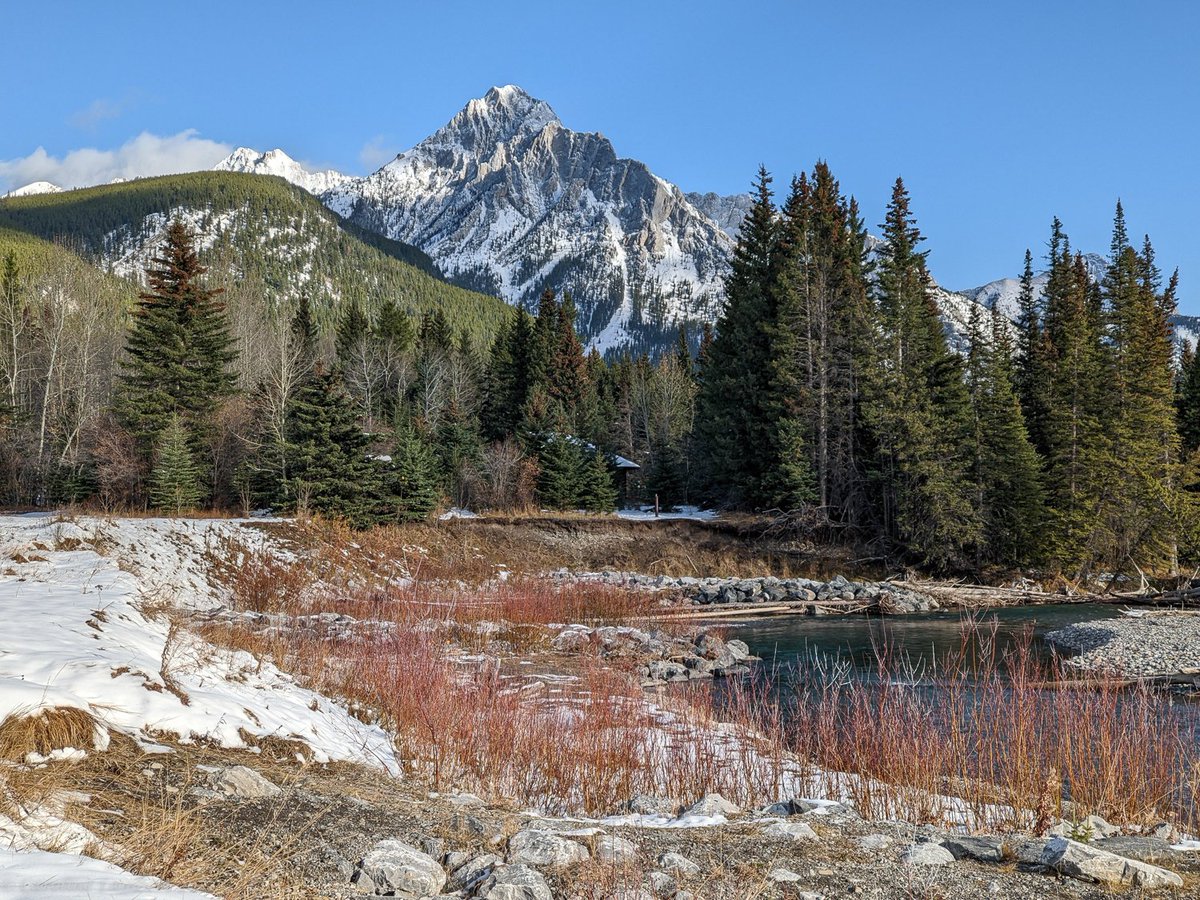 _eaglecount's tweet photo. The weather flipped, and we finally got some snow! Also got some of those lingering eagles to move south. We're still way below normal in numbers, but the season is not over yet.
#rmerf #eaglewatch #kananaskis #goldeneagle #eaglemigration #mtlorette https://t.co/lik0adr2R8