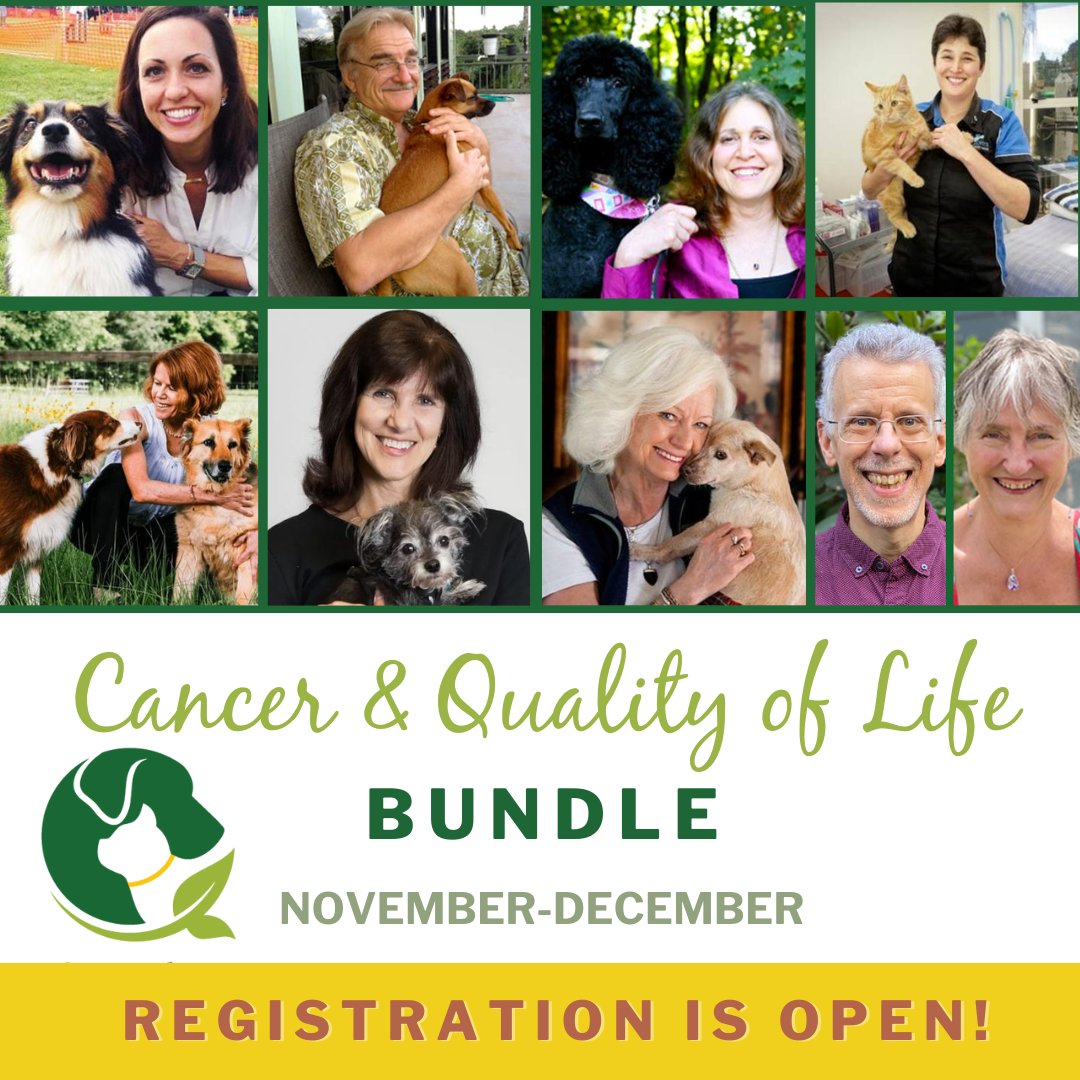Did you know that many pet cancers are preventable and most can be managed? If your pet is dealing with a cancer diagnosis you don't have to go through it alone.🐶 Get our Pet Cancer &amp; Quality of Life Bundle. Use the code BRAVE to save $20.
holisticactions.com/cancer-bundle/