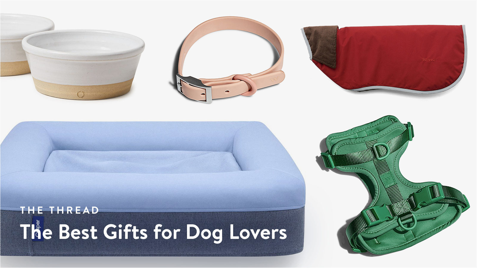 Gifts for large best sale dogs