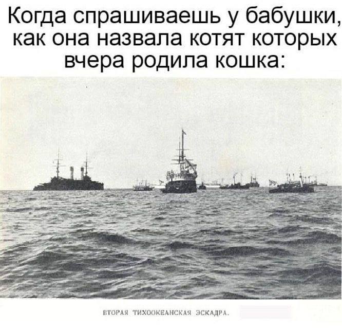 mikhasya8080's tweet image. 