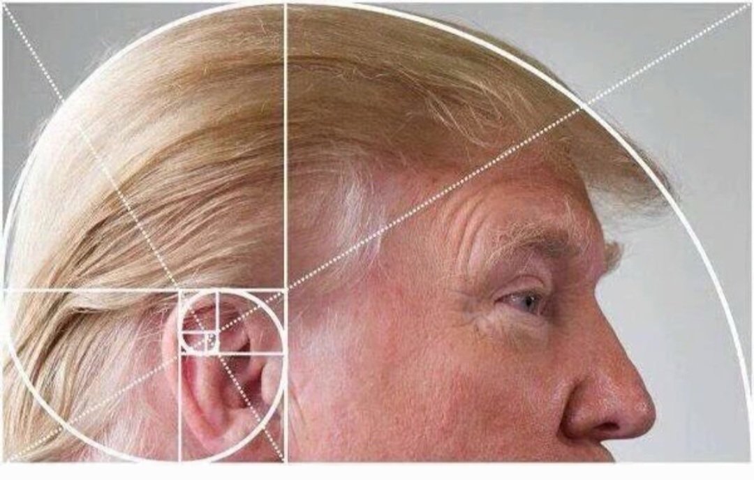 <a href="/mathladyhazel/">Math Lady Hazel 🇦🇷</a> <a href="/NoahCarl90/">Noah Carl</a> "It was the perfect haircut."