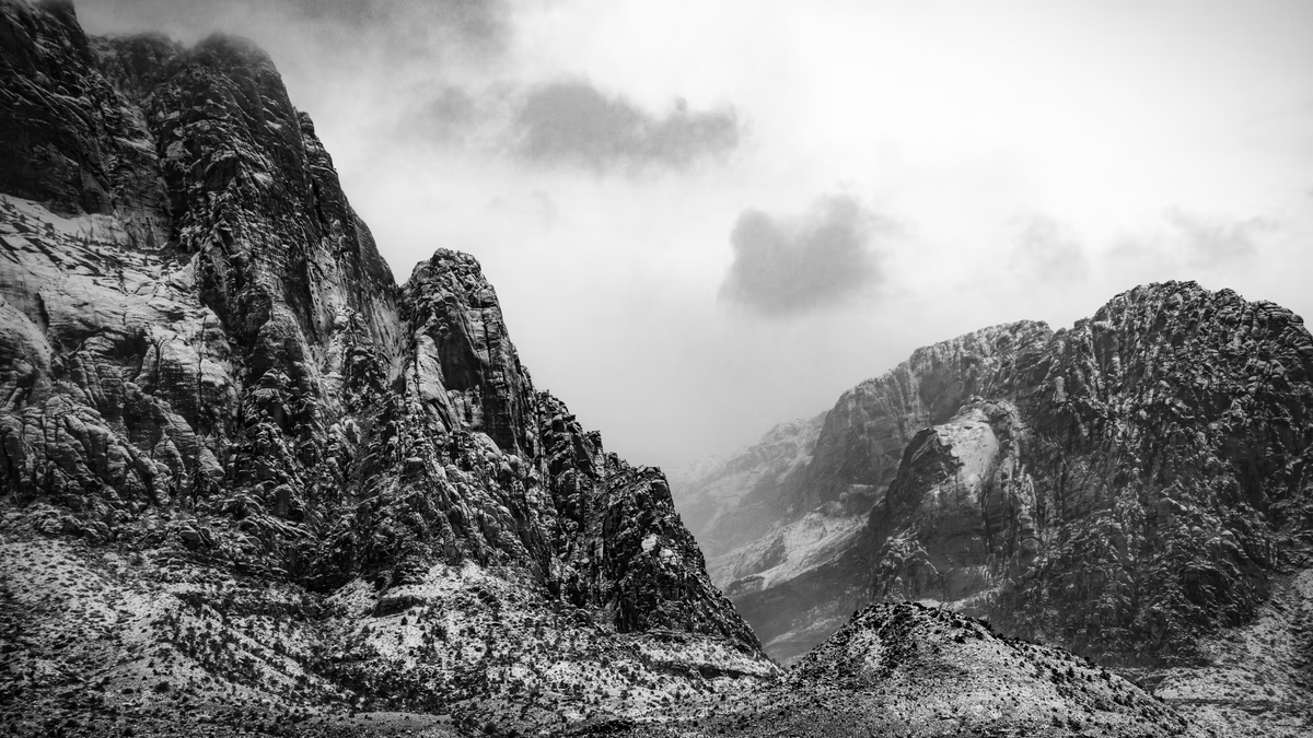 Quantum Art tweet media