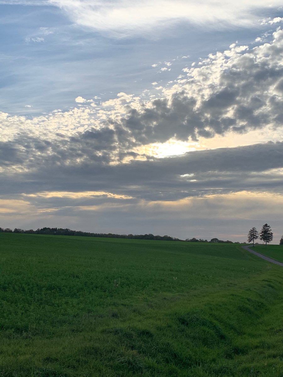 Sur le plateau : le retour 
Tous les semis en pousse 
Juste un labour frais. 
La douceur 
La beauté 
#Bourgogne #Dimanche 
À demain