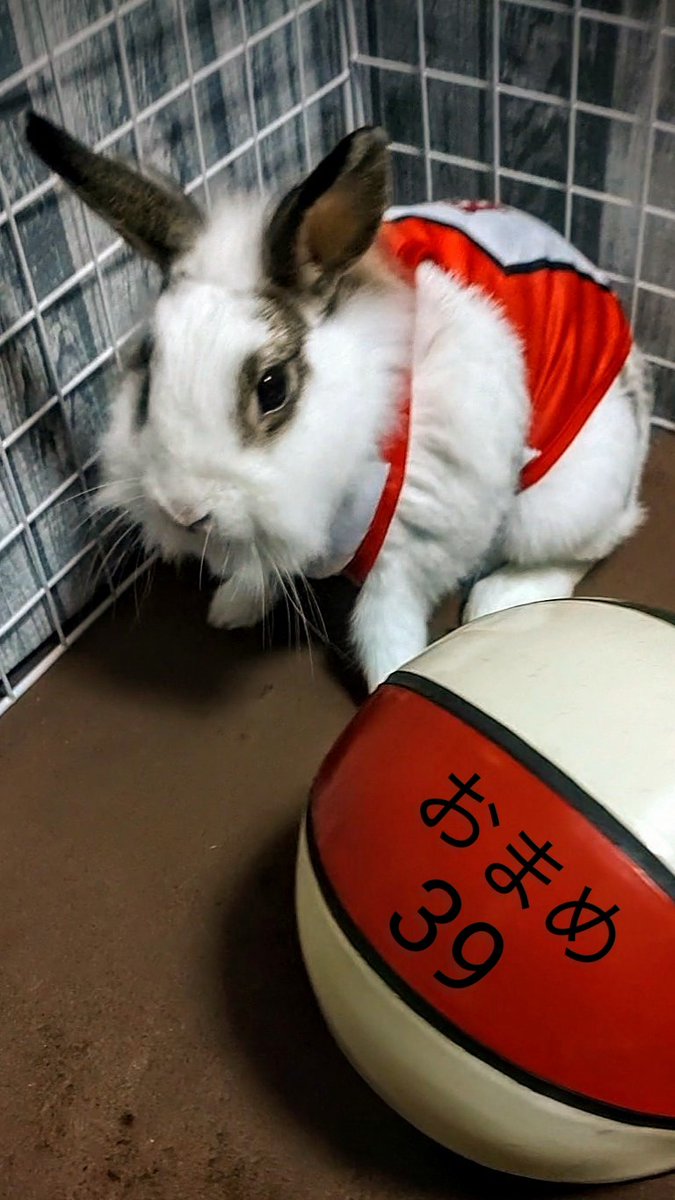 Yyiwulomsma2sm Yyiwulomsma2sm