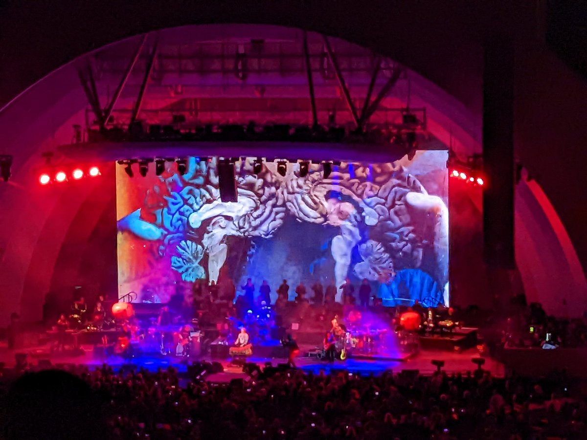 Grey Matter by Oingo Boingo performed by Danny Elfman and company at The Hollywood Bowl! 🧠🎸🎺🎷🎻🎶