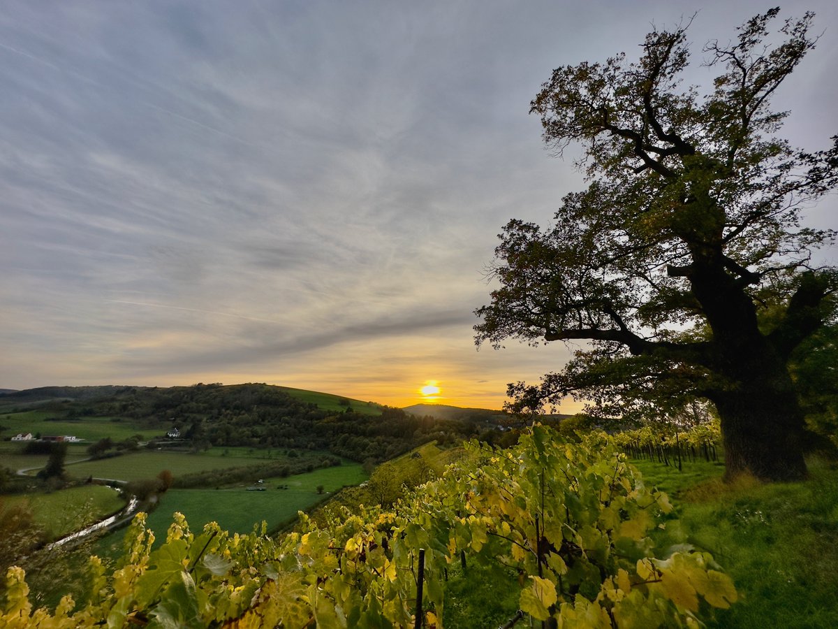 derdino's tweet photo. Evening falls #Disibodenberg #RheinlandPfalz #Germany https://t.co/mX8VwAEny1