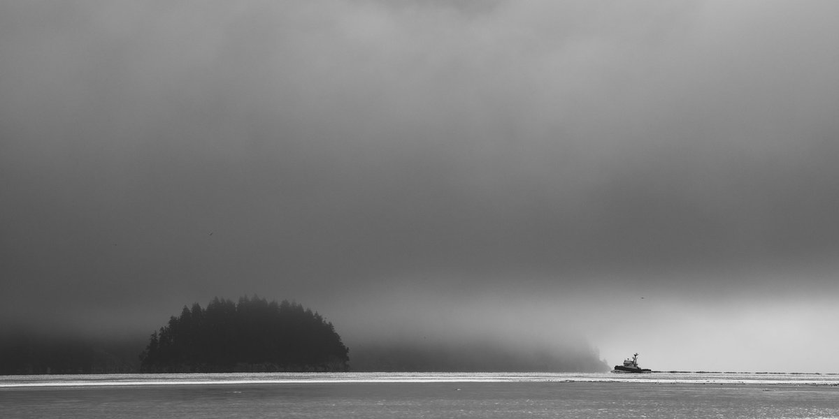 Panorama, Elk Bay, Vancouver Island, BC 2022 #Panorama #pano #PanoPhotos #panophotos #blackandwhite #blackandwhitephotography #GoodMorningEveryone #moodylight