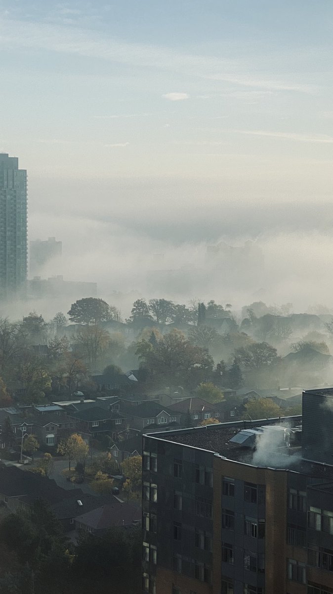 GirlOfFire01's tweet photo. As someone said “Do I feel like #JackandTheBeanstalk?” Yes! I do!! #Mississauga #FallFog #iphonephotography #NoEdits #Morningfog @weathernetwork https://t.co/GZ5lKcBxI9