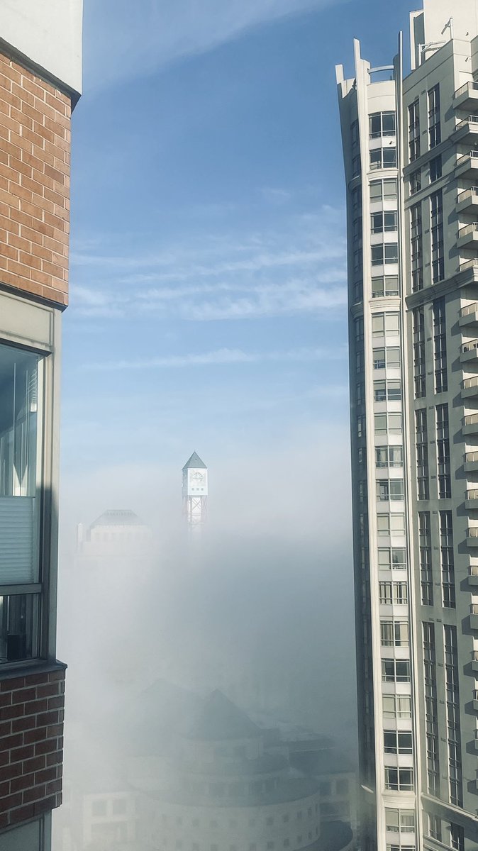 GirlOfFire01's tweet photo. As someone said “Do I feel like #JackandTheBeanstalk?” Yes! I do!! #Mississauga #FallFog #iphonephotography #NoEdits #Morningfog @weathernetwork https://t.co/GZ5lKcBxI9