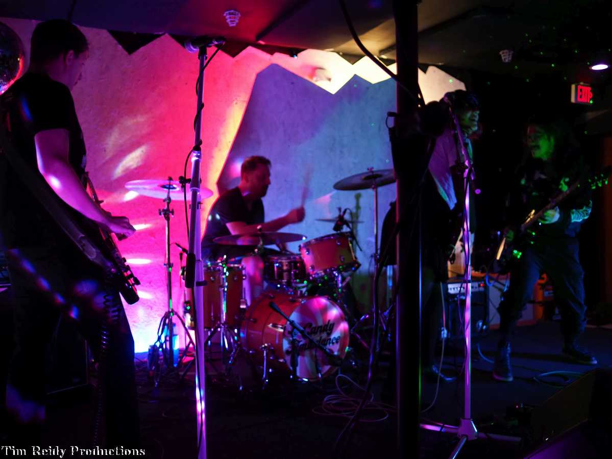 <a href="/nofuntroy/">nofuntroy</a> brought out the ladies to party on saturday night with
Flatwaves
Shana Falana
Taleen Kali
&amp; Candy Ambulance