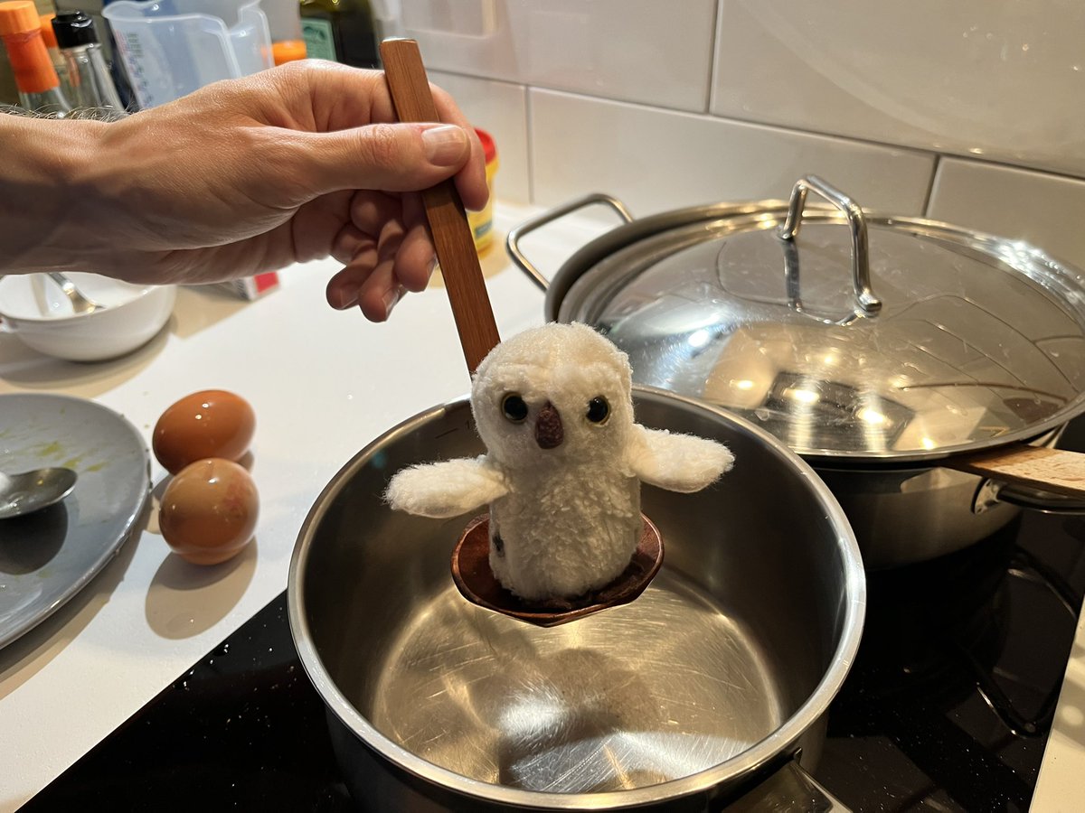 BuboAndFriends's tweet photo. I want eeeegg🥚 🦉 https://t.co/NgfUkUKh2u