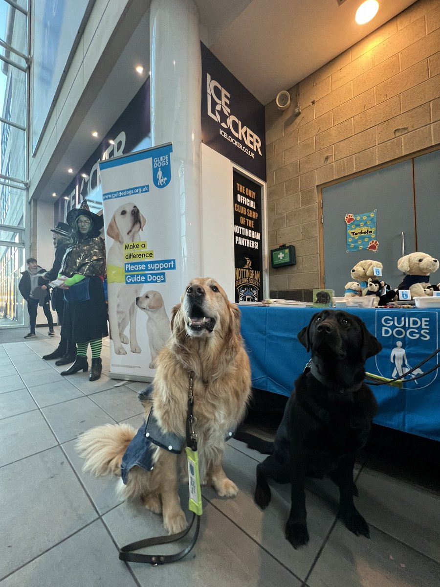 PanthersIHC's tweet photo. Furry heaven in the foyer tonight😻
Go check out @GDmidsandeast 🐾🦮 https://t.co/tSfM5Kig7s