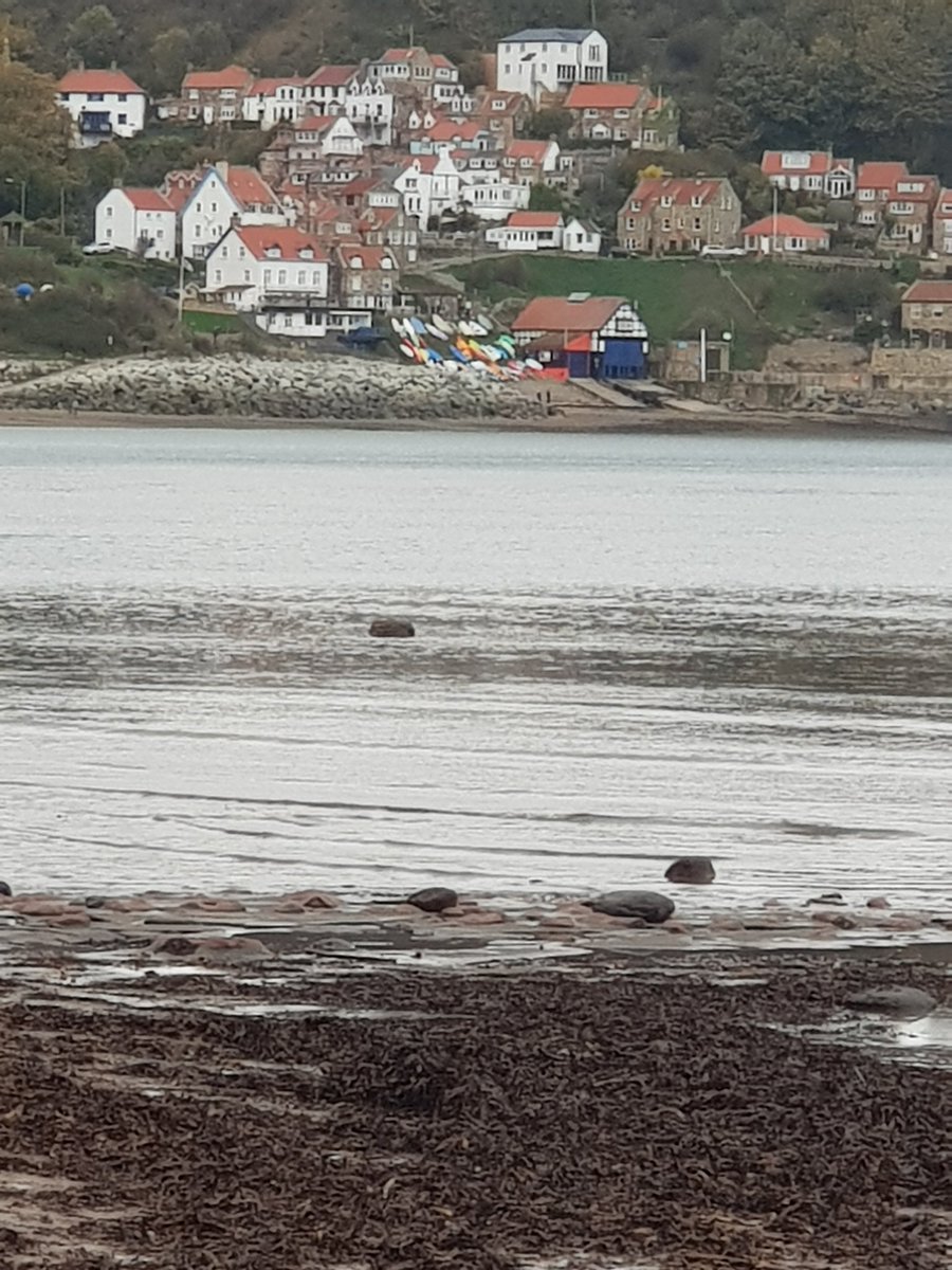 Andrea Lightfoot tweet media