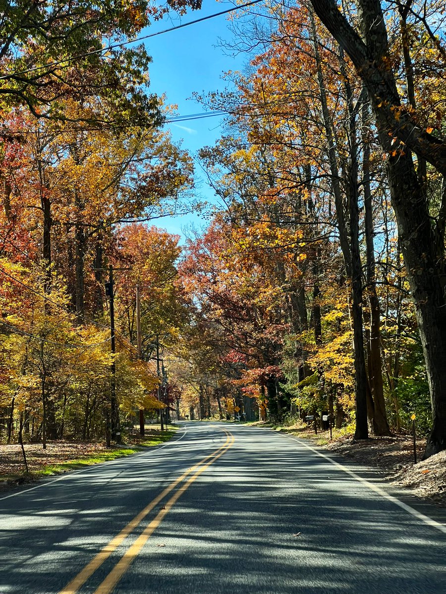 AgriPV10's tweet photo. These roads 😍
#Hunterdon #Pittstown https://t.co/7RFpzQgrrz