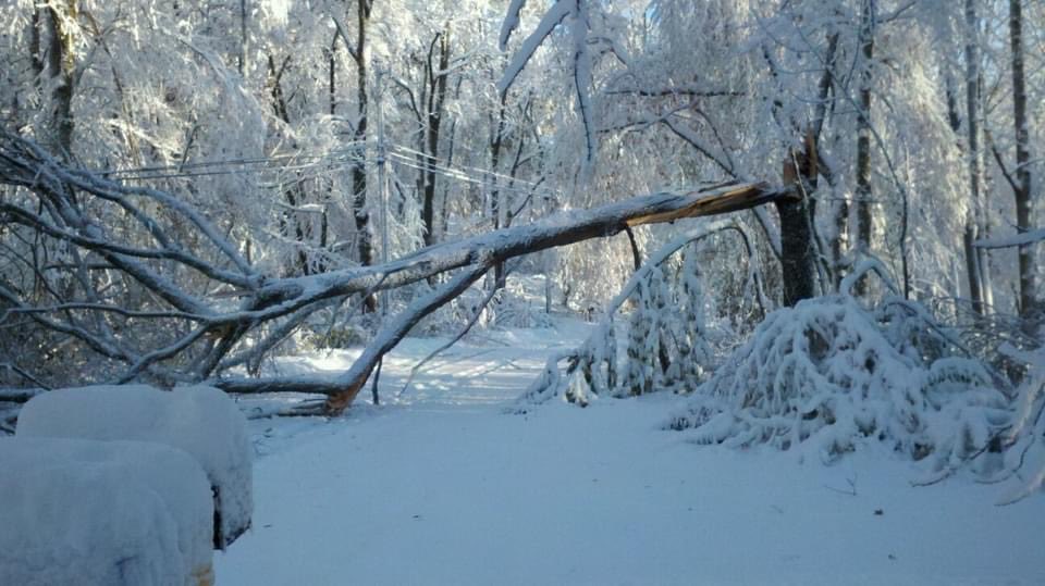 FarrishKate's tweet photo. In front of my house 11 years ago today from #Snowtober. #Octsnowber https://t.co/YATa4iAtjH
