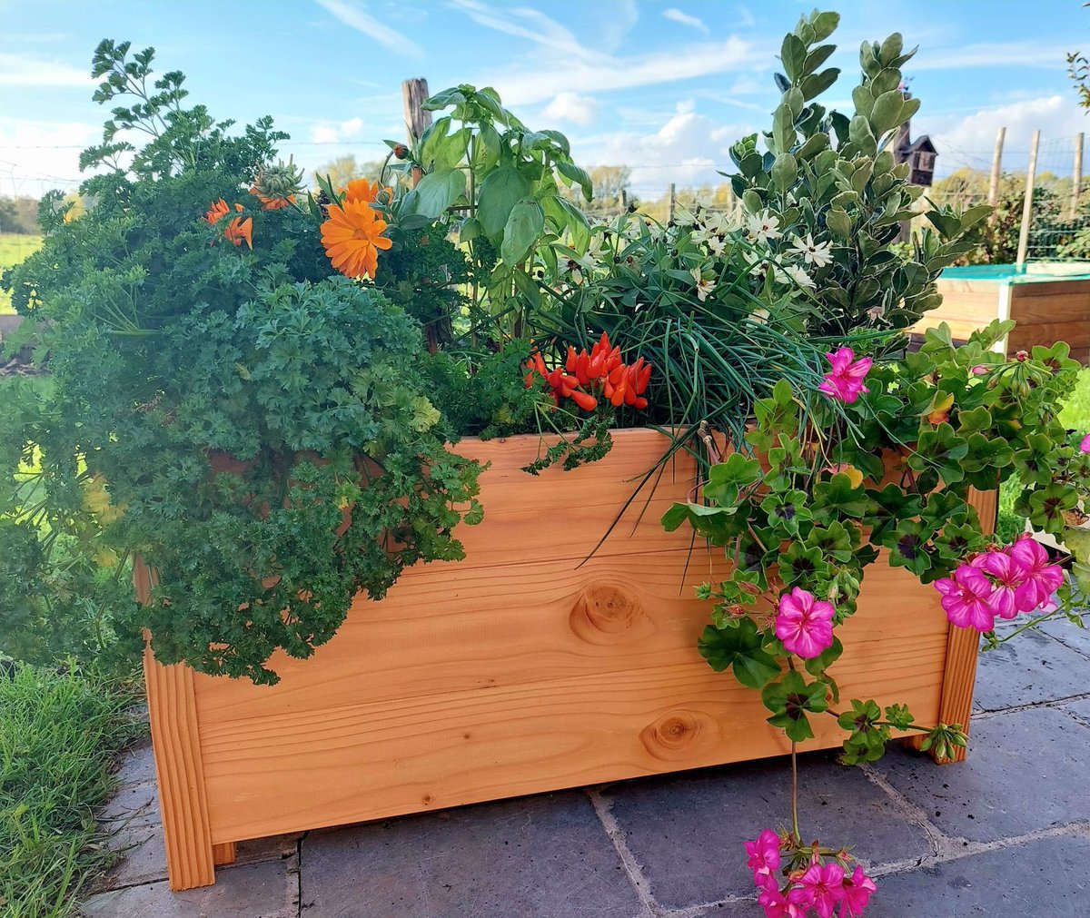 mon_petit_potag's tweet photo. #NOUVEAUTÉS #SAISON 2023 🌱
Nos nouveautés pour cette nouvelle saison pointent le bout de leurs nez !
Un #RetourAuxBasics avec une gamme plus traditionnelle : des angles en bois, à visser.
Préparez au mieux la saison 2023 ! Découvrez la #gammePremium !

 🔜 en #magasin. https://t.co/fv5yGp4i0L