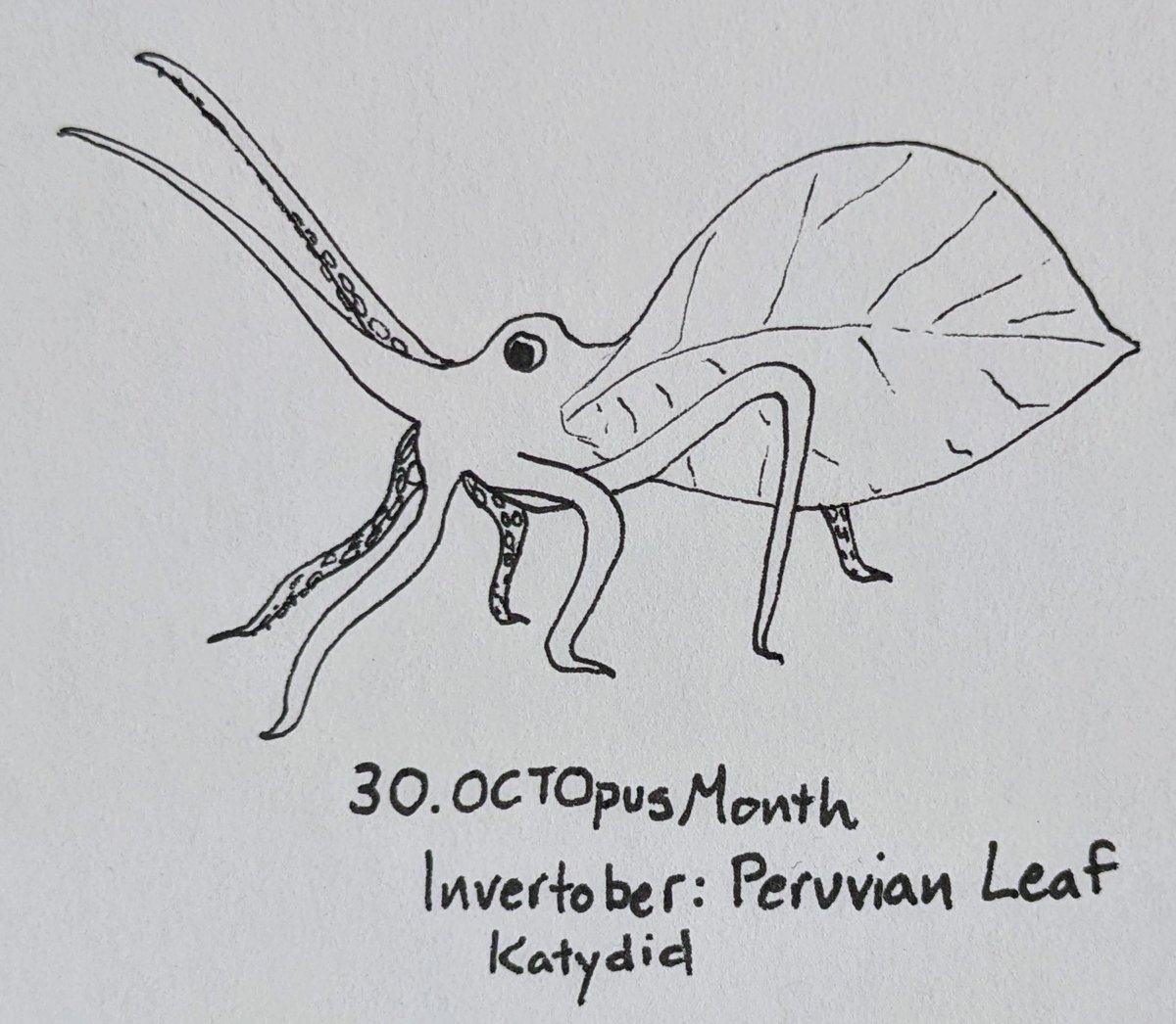 DannaStaaf's tweet photo. Day 30 of #Invertober2022 x #OCTOpusMonth I think the octopus gets a particular kick out of pretending to be an insect that's already pretending to be something else 🍂🦗🐙 https://t.co/lqoU3cWwpf