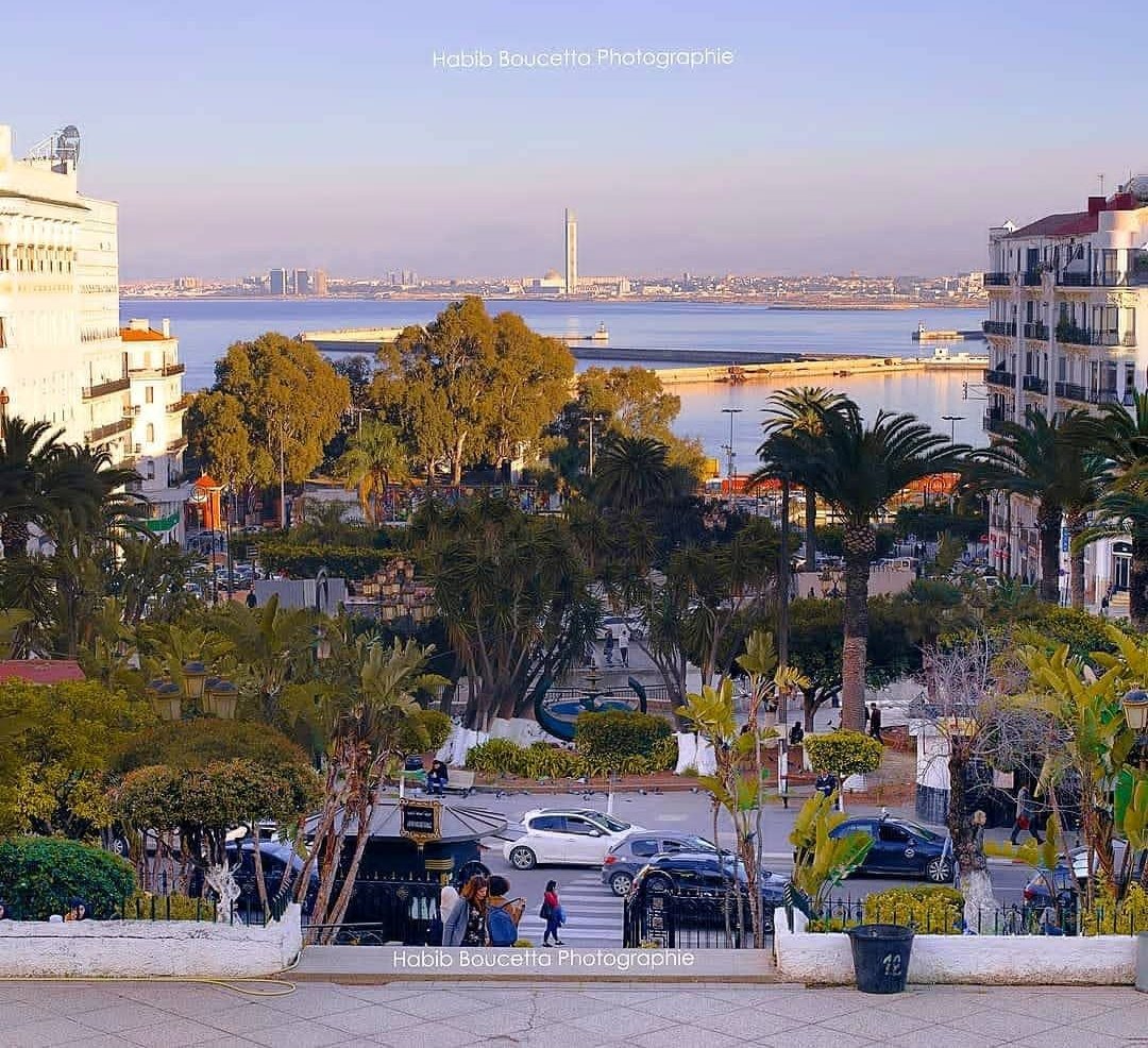 We_Love_Algeria's tweet photo. The white city, Algiers 📍 https://t.co/YnS6ZJwvFz