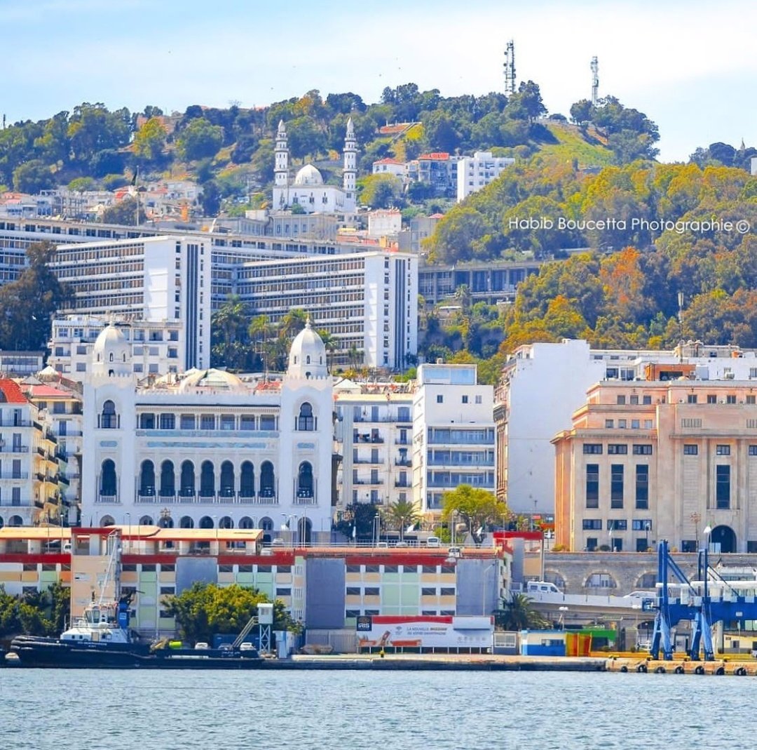 We_Love_Algeria's tweet photo. The white city, Algiers 📍 https://t.co/YnS6ZJwvFz