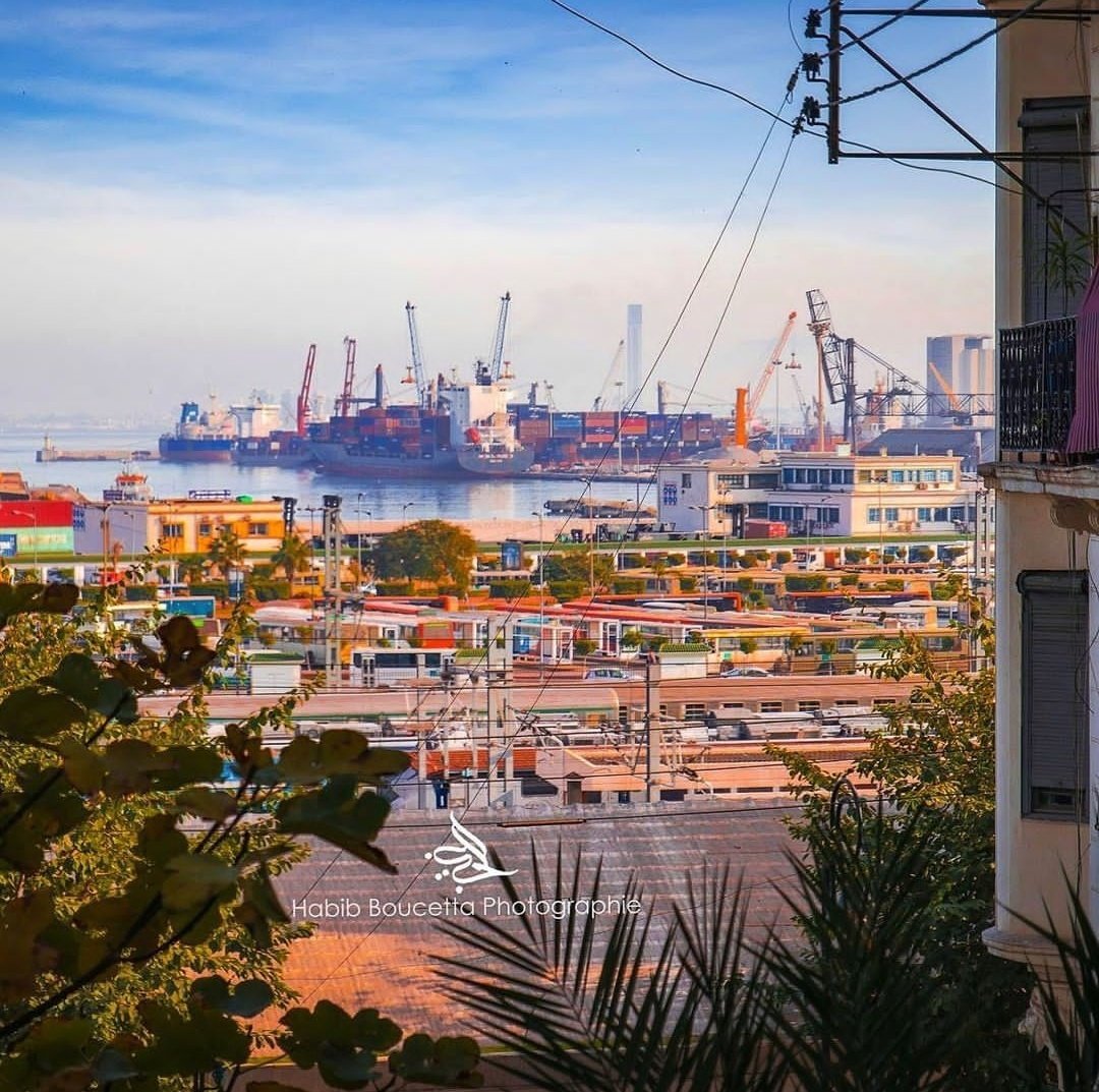 We_Love_Algeria's tweet photo. The white city, Algiers 📍 https://t.co/YnS6ZJwvFz