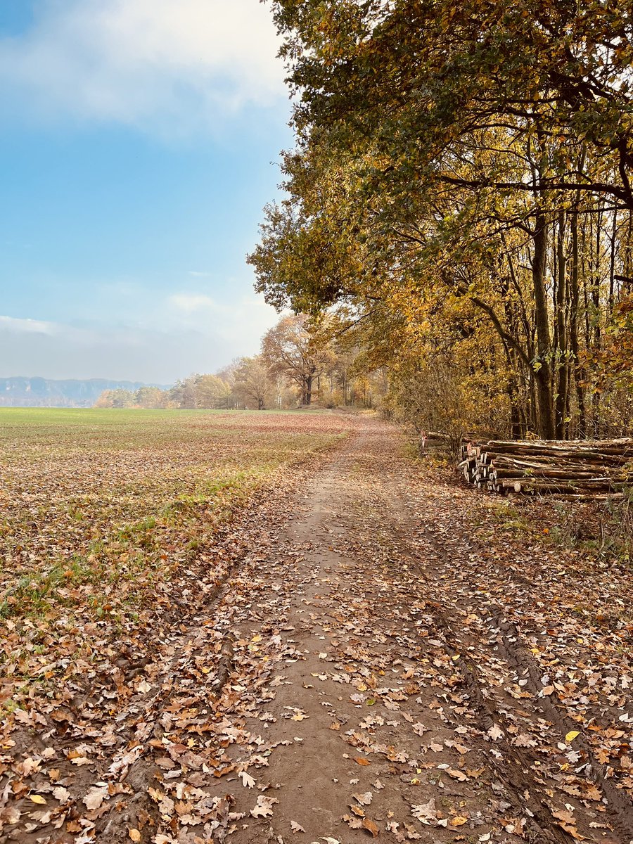 boardflow's tweet image. Sonntagsausflug.