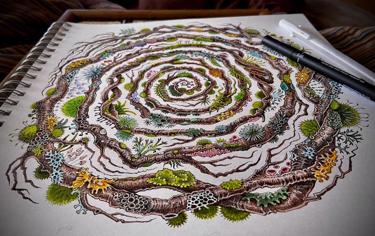 I've done a drawing. I'm calling it Spiralichen. #spiralichen #lichen #drawing