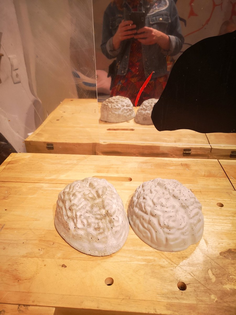 Falls Sie mal wieder mehr Bein als Verstand haben, bekommen Sie bei <a href="/StefanPlank/">Stefan Plank</a> mehr Hirn.