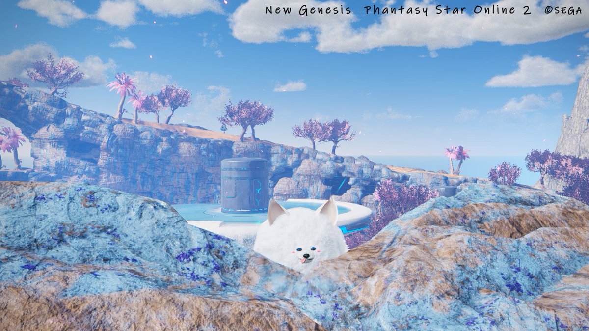 torotoro_siteru's tweet photo. 今日のワンコ
#PSO2NGS #PSO2NGS_SS #ma7ロゴ
#メンテの日じゃないけどssを貼る https://t.co/Ek5voaCgbK