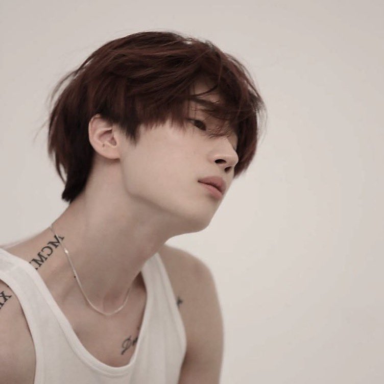 CYBERRAUN's tweet photo. 𝐍𝐨𝐦𝐞: 𝐇𝐨𝐰𝐥

𝐒𝐡𝐚𝐩𝐞: 𝐇𝐚𝐧 𝐒𝐞𝐮𝐧𝐠𝐰𝐨𝐨 - 𝐕𝐢𝐜𝐭𝐨𝐧

𝐈𝐝𝐚𝐝𝐞: 𝟐𝟕

𝐔𝐬𝐞𝐫: @lathosraun https://t.co/9w23o0YFce