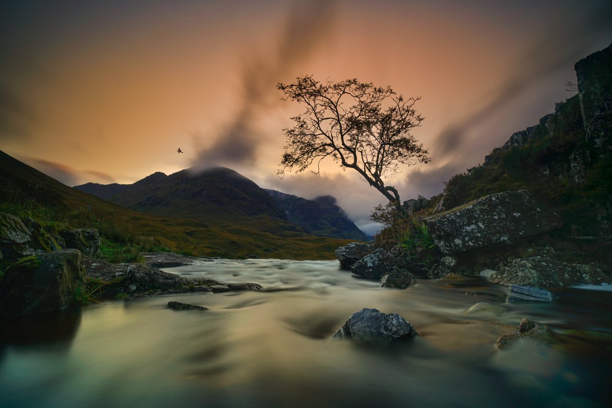 CHPhotography15's tweet photo. Did anyone notice anything strange today in Glencoe?
I thought it was a dust spot at first.
Look a little closer...
@VisitScotland @ScotsMagazine @TGOMagazine @OPOTY   #scotland #glencoe https://t.co/Qp1YgVv1FT