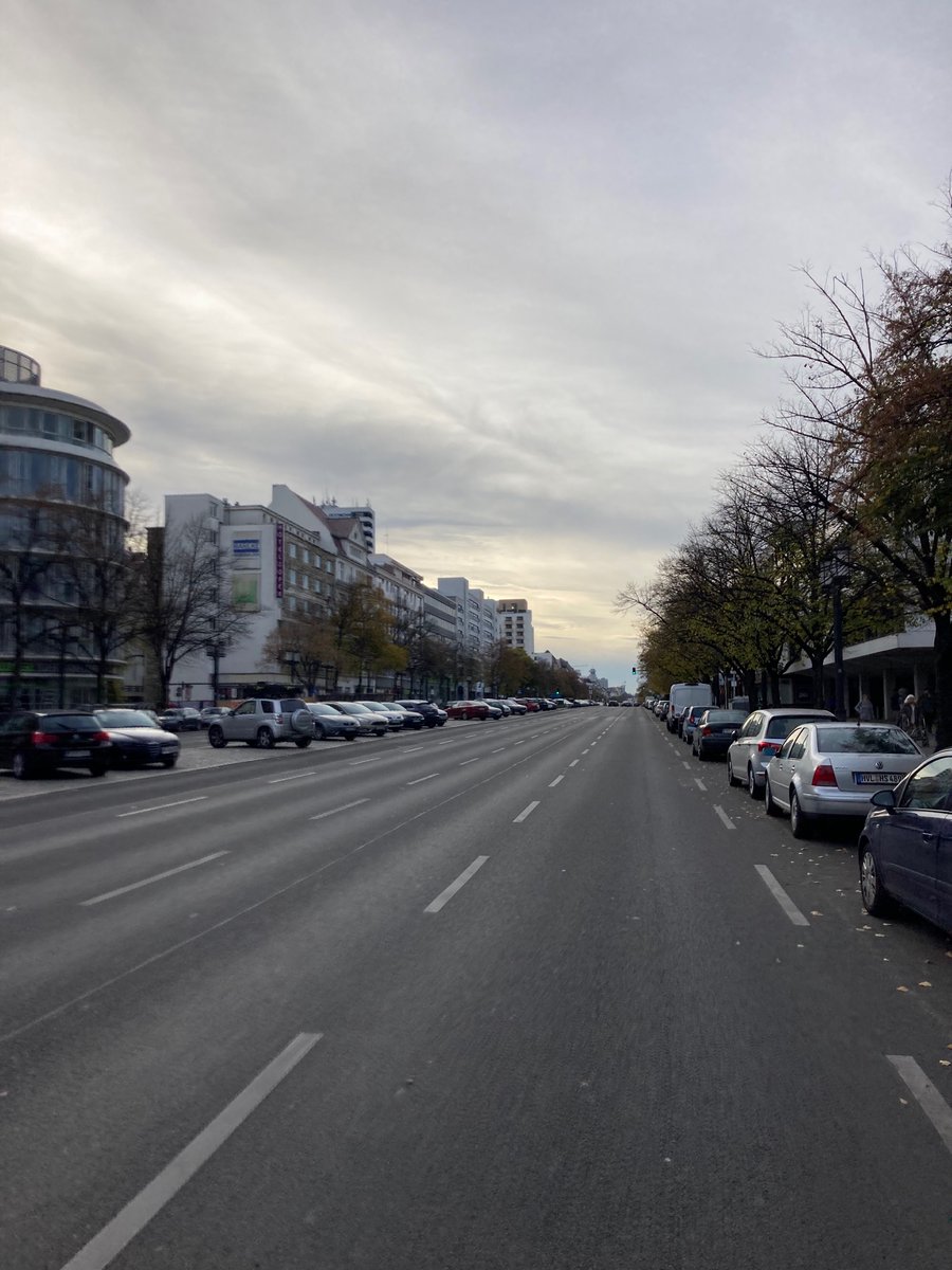 Gleich beginnen die Autos zu hupen, weil ich mit dem Rad auf IHRER Spur bin, anstatt auf dem laubbedeckten, feuchten 50cm Streifen zu fahren