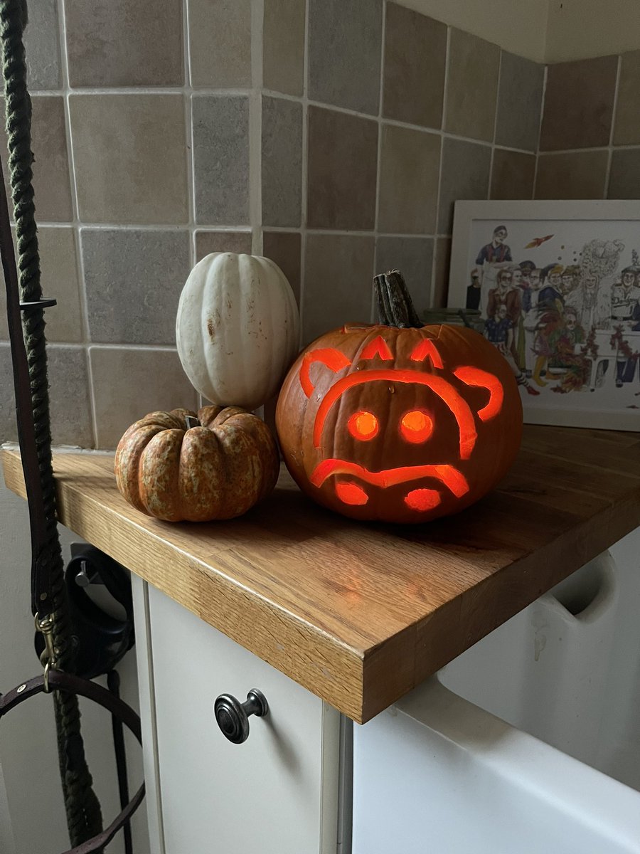 Anna Stuart 🇬🇧🐂🐄🐏🇬🇧 tweet media