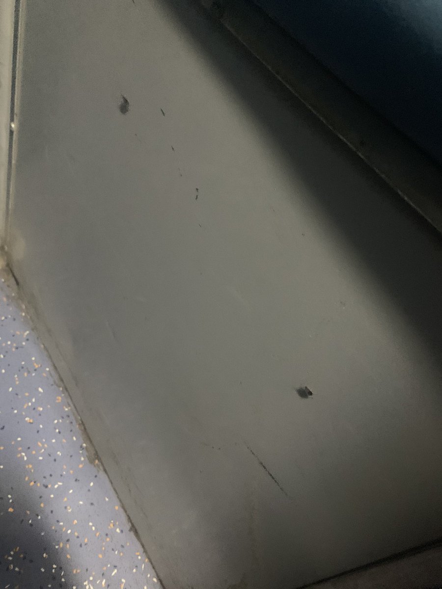 abhinavpurwar1's tweet photo. @PMOIndia @RailMinIndia @ashwanivaishnav please see the condition of 2AC of train 12427 Rewa-ANVT .. it’s full of bugs and cockroaches.. @AmitShah @narendramodi https://t.co/zkAauPWXcp