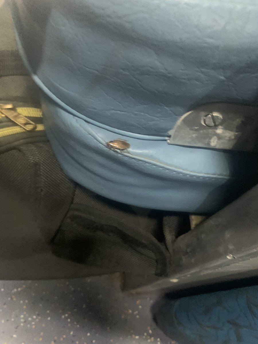 abhinavpurwar1's tweet photo. @PMOIndia @RailMinIndia @ashwanivaishnav please see the condition of 2AC of train 12427 Rewa-ANVT .. it’s full of bugs and cockroaches.. @AmitShah @narendramodi https://t.co/zkAauPWXcp