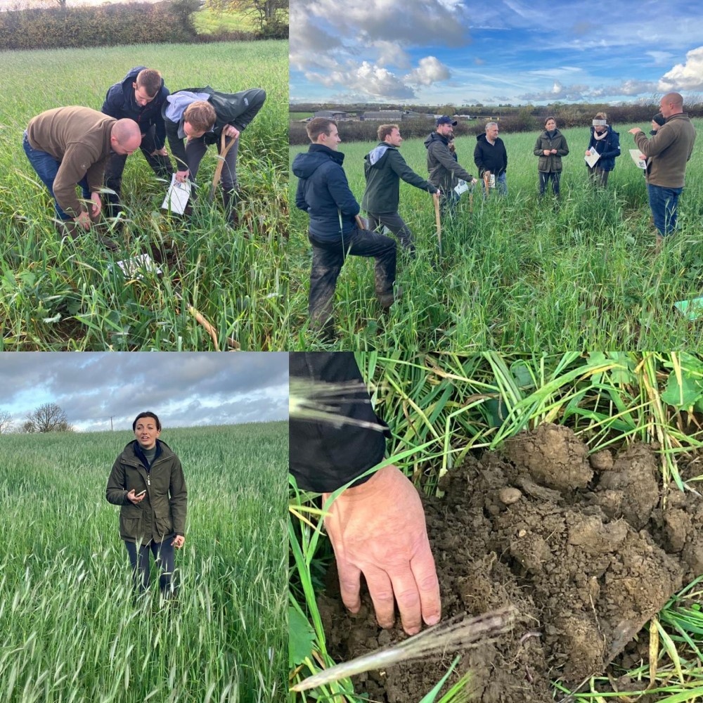 East Midlands west team carrying out in field SFI and Agroecology training.
#EastMidsAgronomy