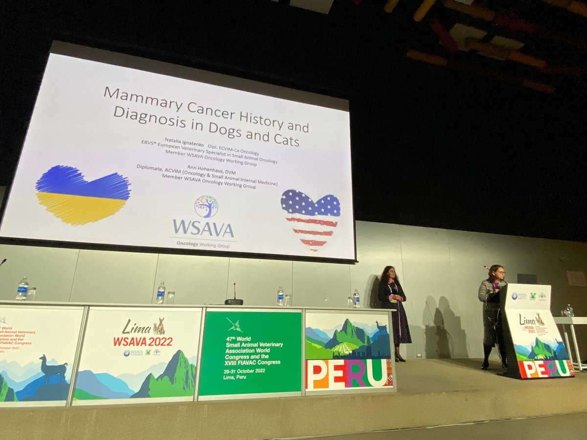 My wonderful colleagues in the @VetsWSAVA Oncology Working Group Dr Natalia Ignatenko (Ukraine) and Dr Ann Hohenhaus (USA) sharing their wisdom on mammary cancer in dogs and cats to the audience in Peru