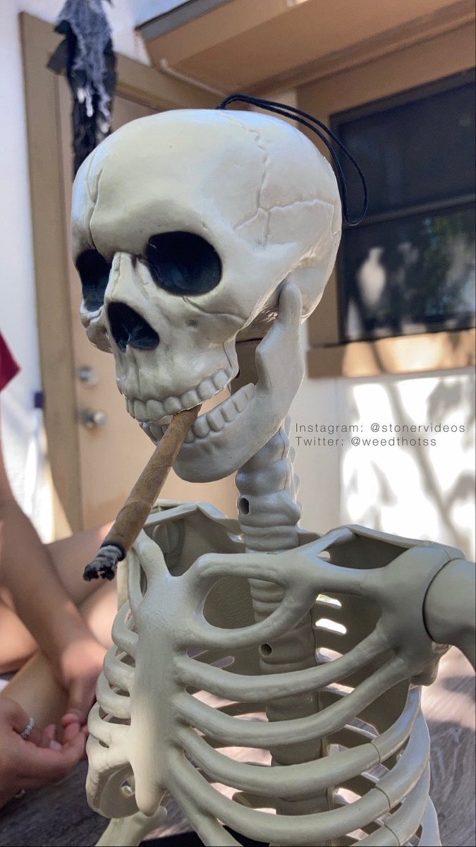 weedthotss's tweet photo. spooky szn 🎃 💭 🍁 https://t.co/H8ZeDZWTux