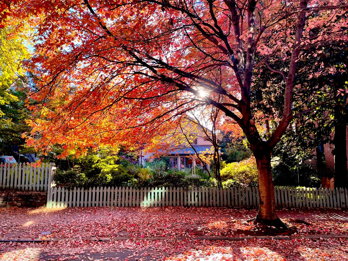 Patrick Debs, MD tweet media